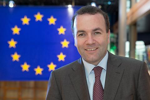 Image result for manfred weber