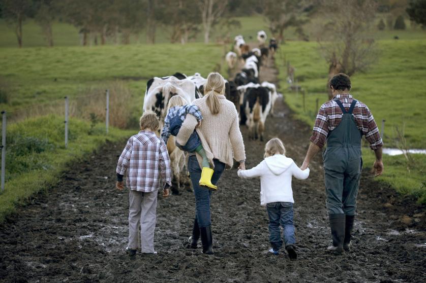 Družina s tremi otroki (3-9 let), ki hodi po blatni cesti, krave v ozadju, pogled od zadaj