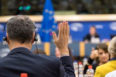 MEP voting at committee meeting
