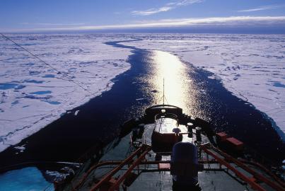 Lead is open water in Arctic ice.