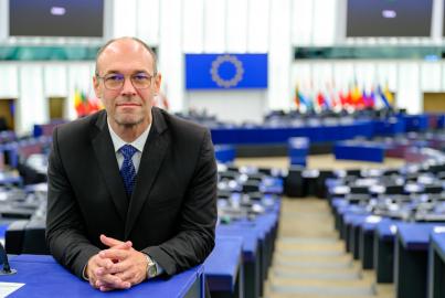 Davor Ivo Stier MEP